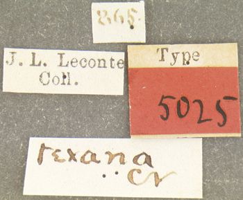 Media type: image;   Entomology 5025 Aspect: labels